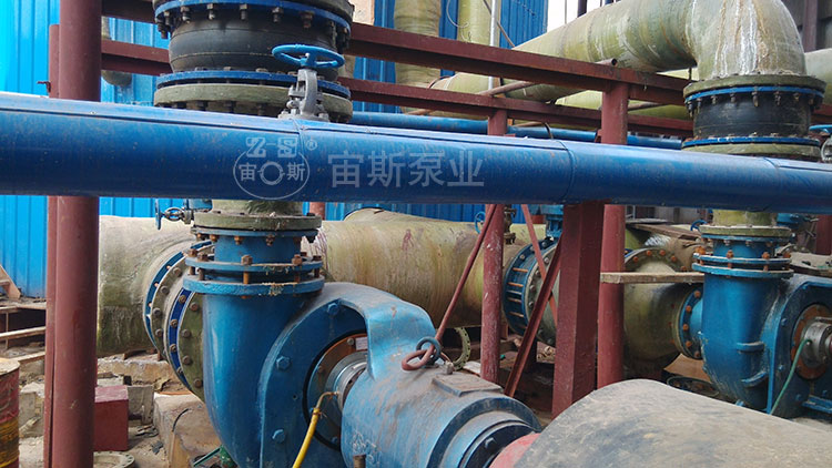 DN250脫硫循環(huán)泵配雙端面機(jī)械密封在鋼鐵廠(chǎng)應(yīng)用